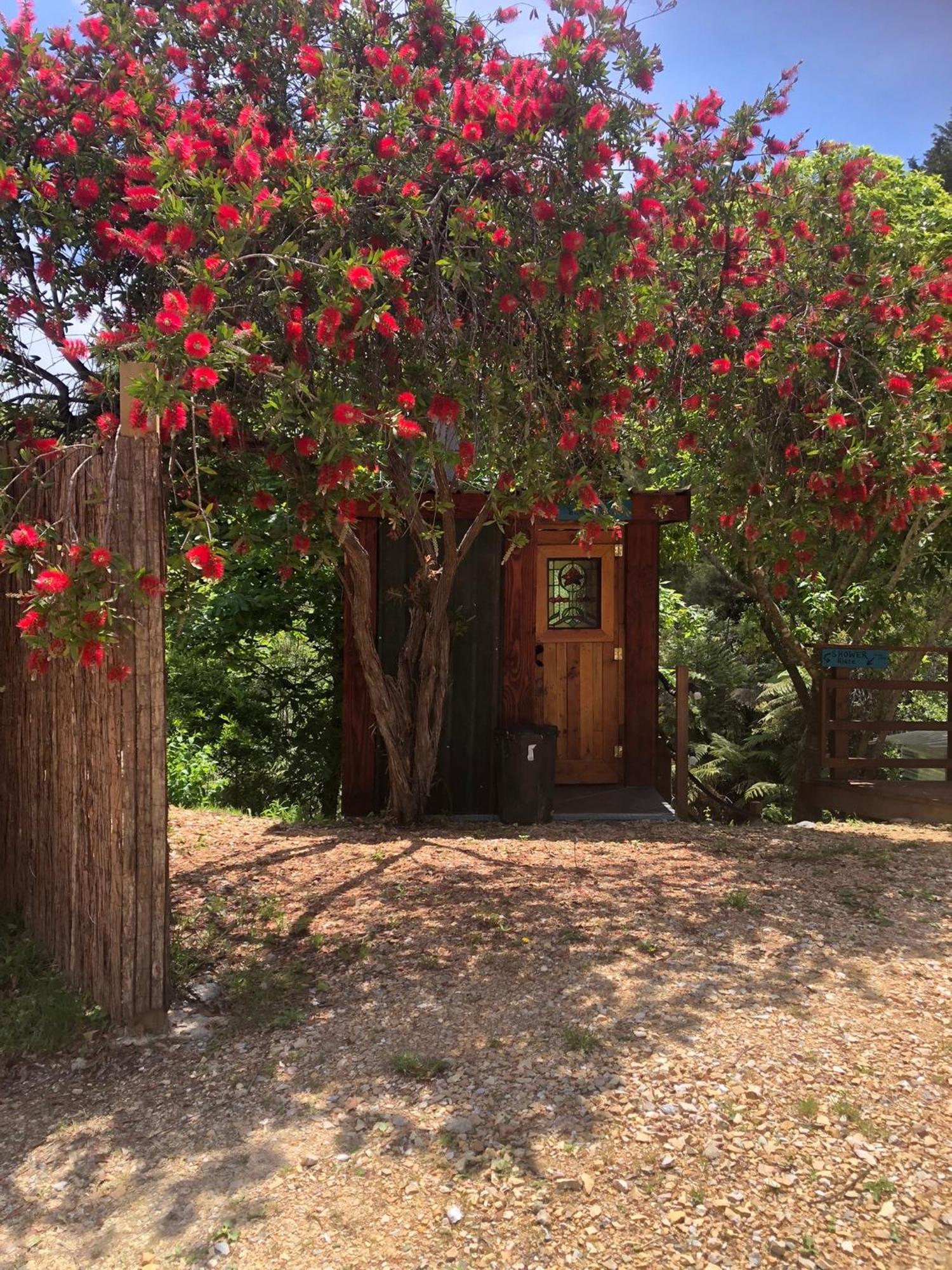 Heron Hideaway At First Light Rangihaeata Retreat Exterior foto